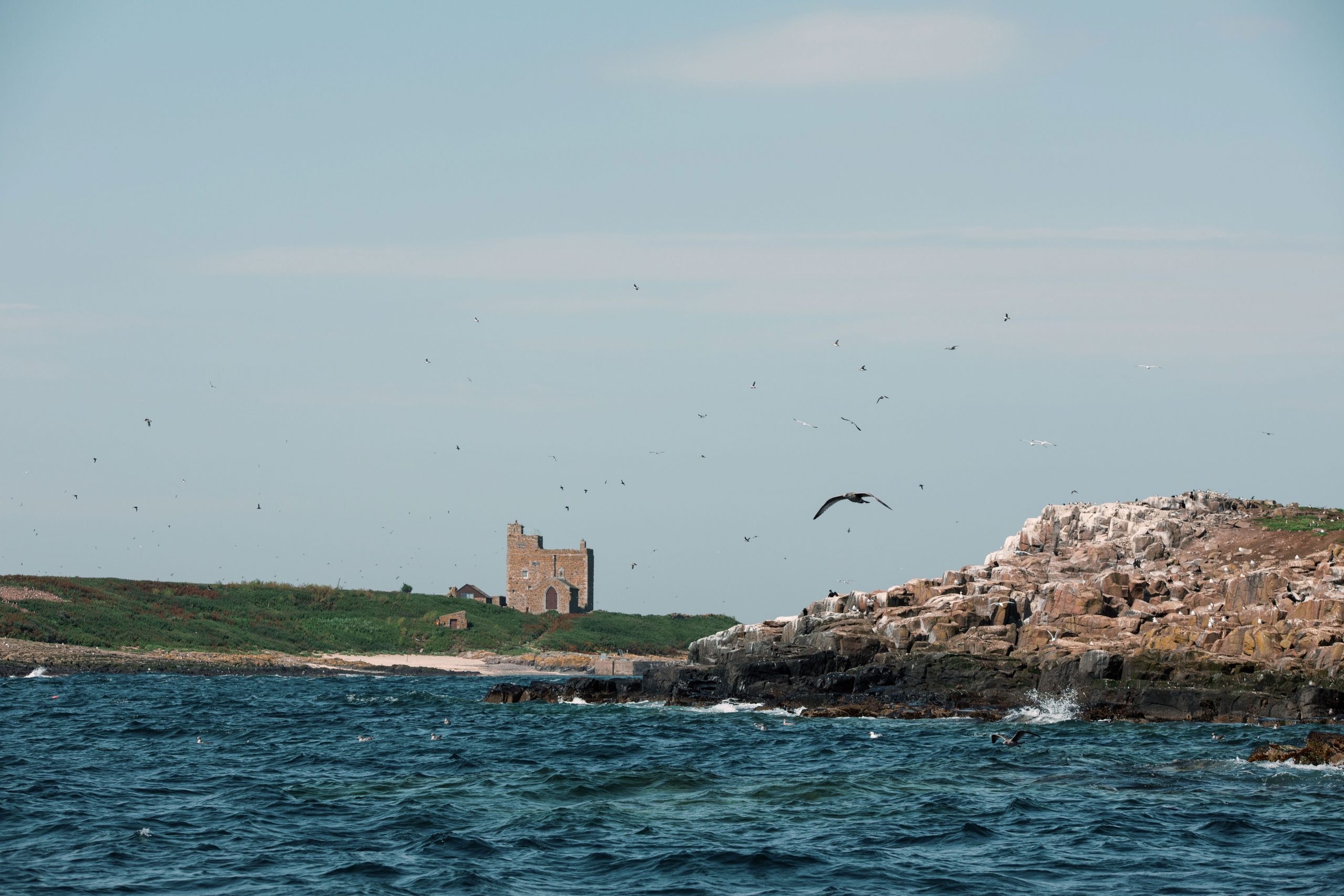 Farne Islands Northumberland Landscapes