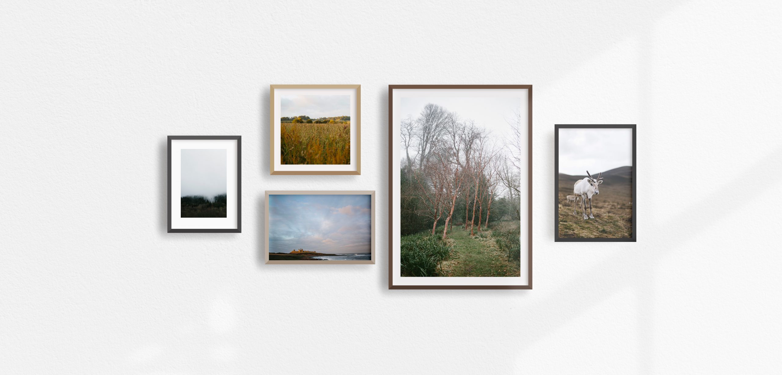 Frame Mockup Kit Extended – CC